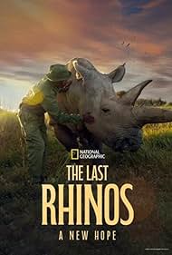 The Last Rhinos A New Hope (2025)