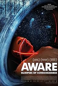 Aware Glimpses of Consciousness (2021)