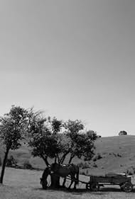 Dem Himmel ganz nah (2010)