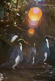 Penguins Meet the Family (2020)