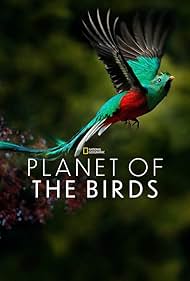 Planet of the Birds (2018)