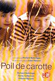 Poil de carotte (2003)