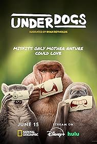 Underdogs (2025-)