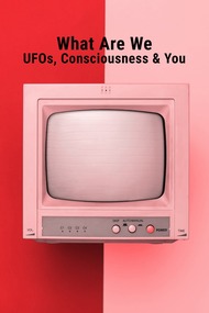 What Are We UFOs, Consciousness You (2024)
