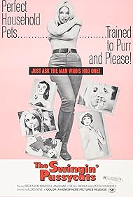 The Swingin Pussycats (1969)